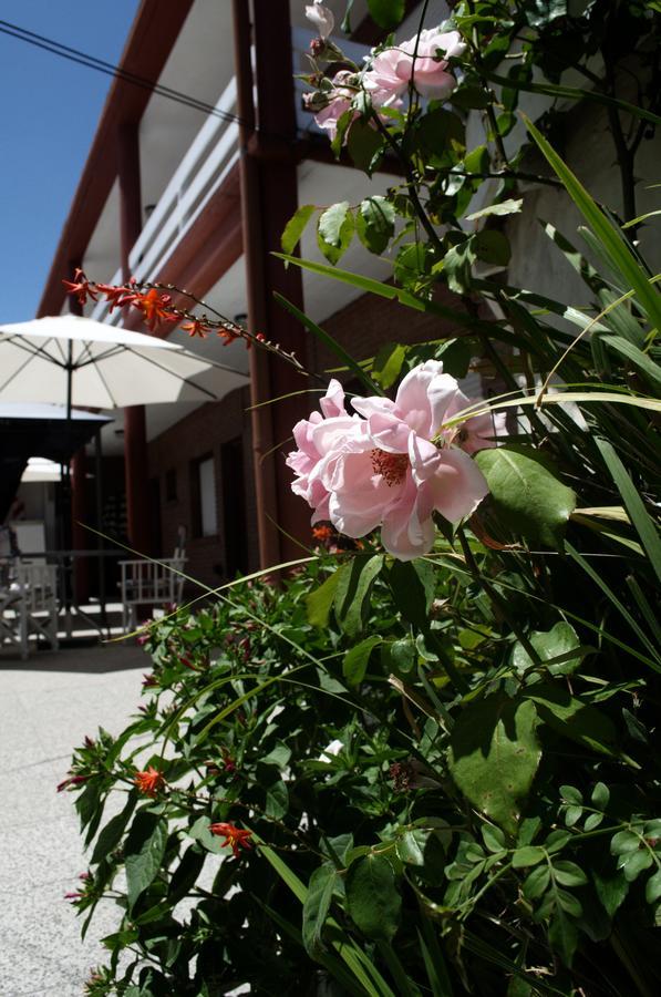 Hosteria Robert Villa Gesell Ngoại thất bức ảnh